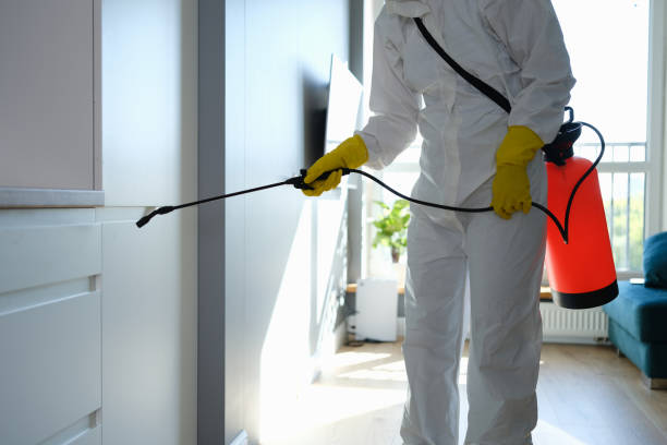 Best Attic Mold Removal  in Eureka, MT